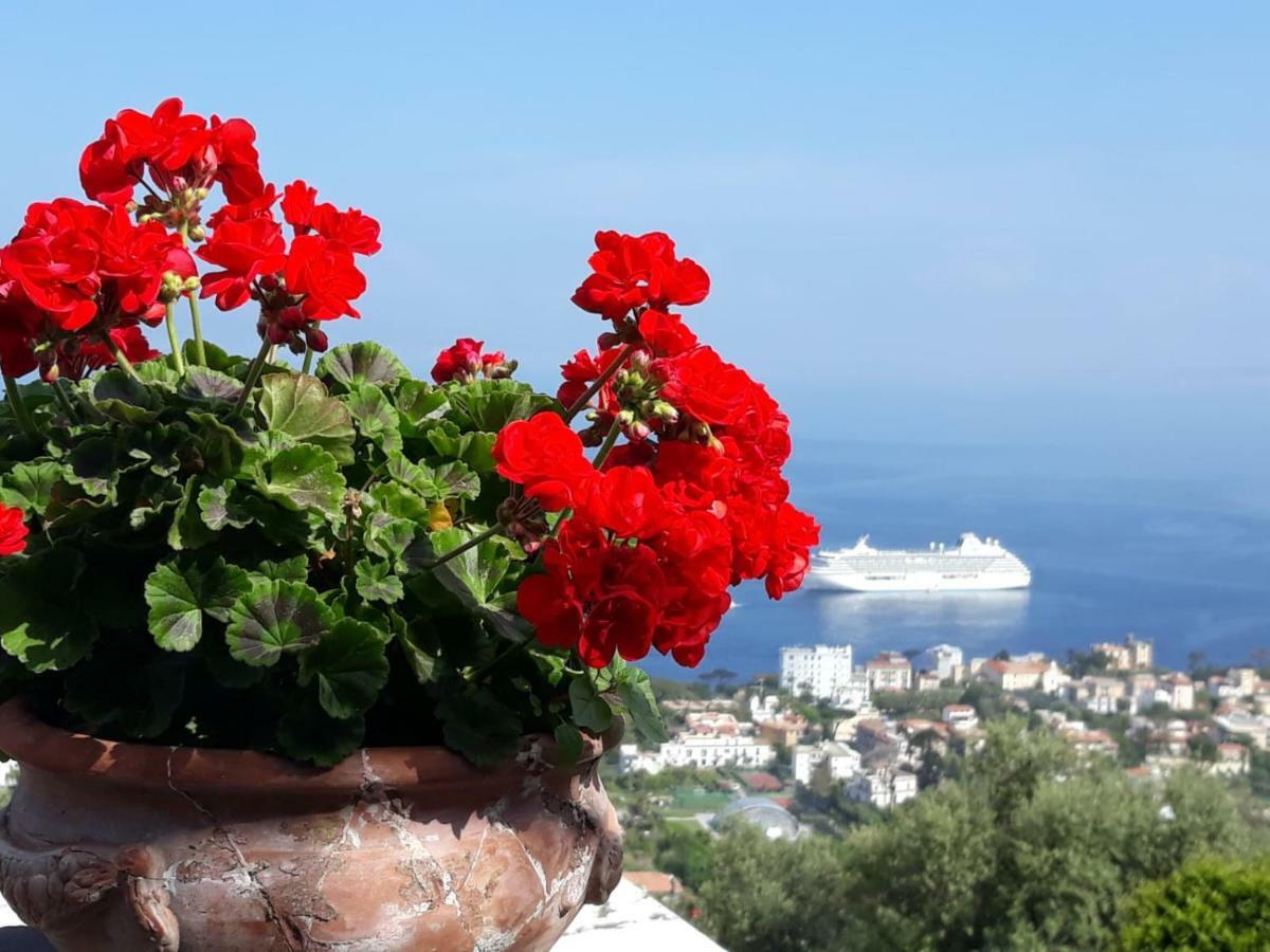 Le Muse Suite Sorrento Kültér fotó