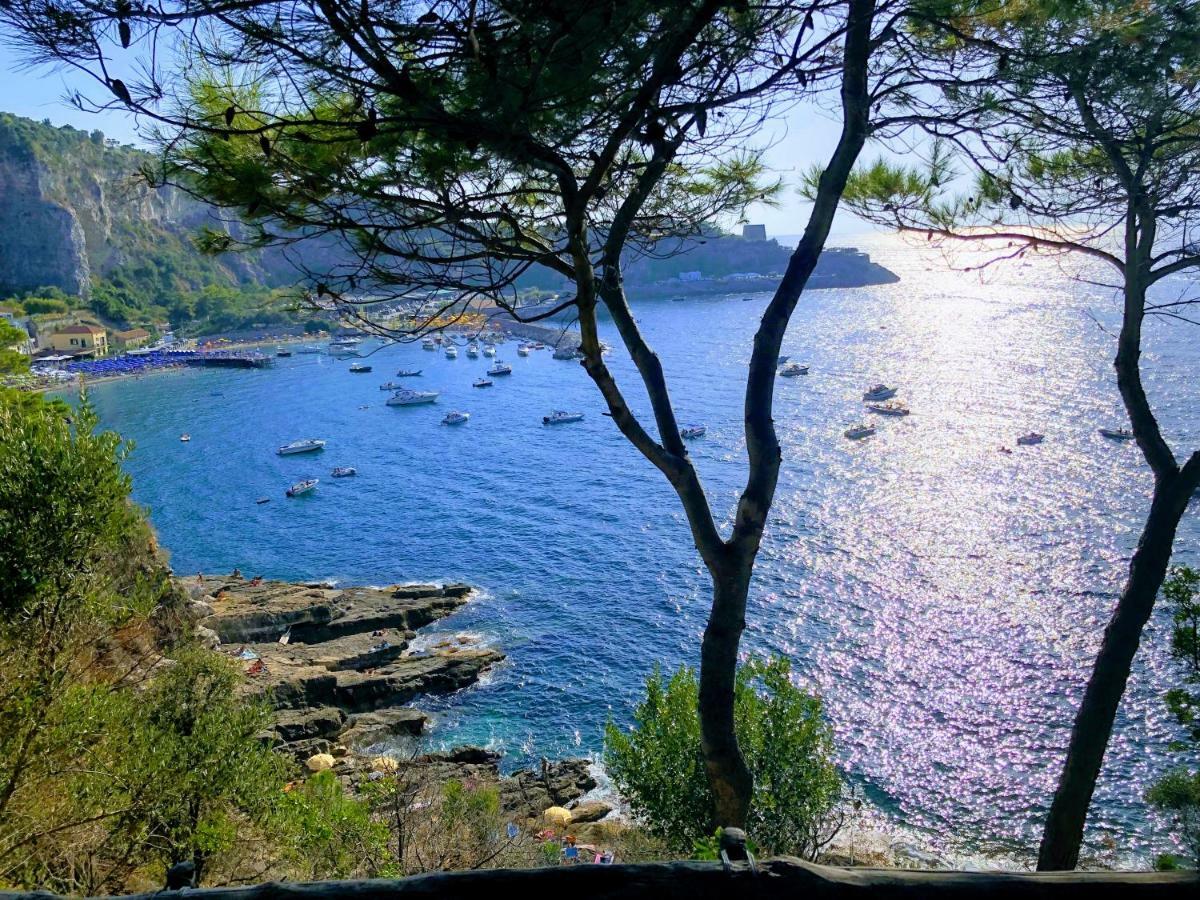 Le Muse Suite Sorrento Kültér fotó