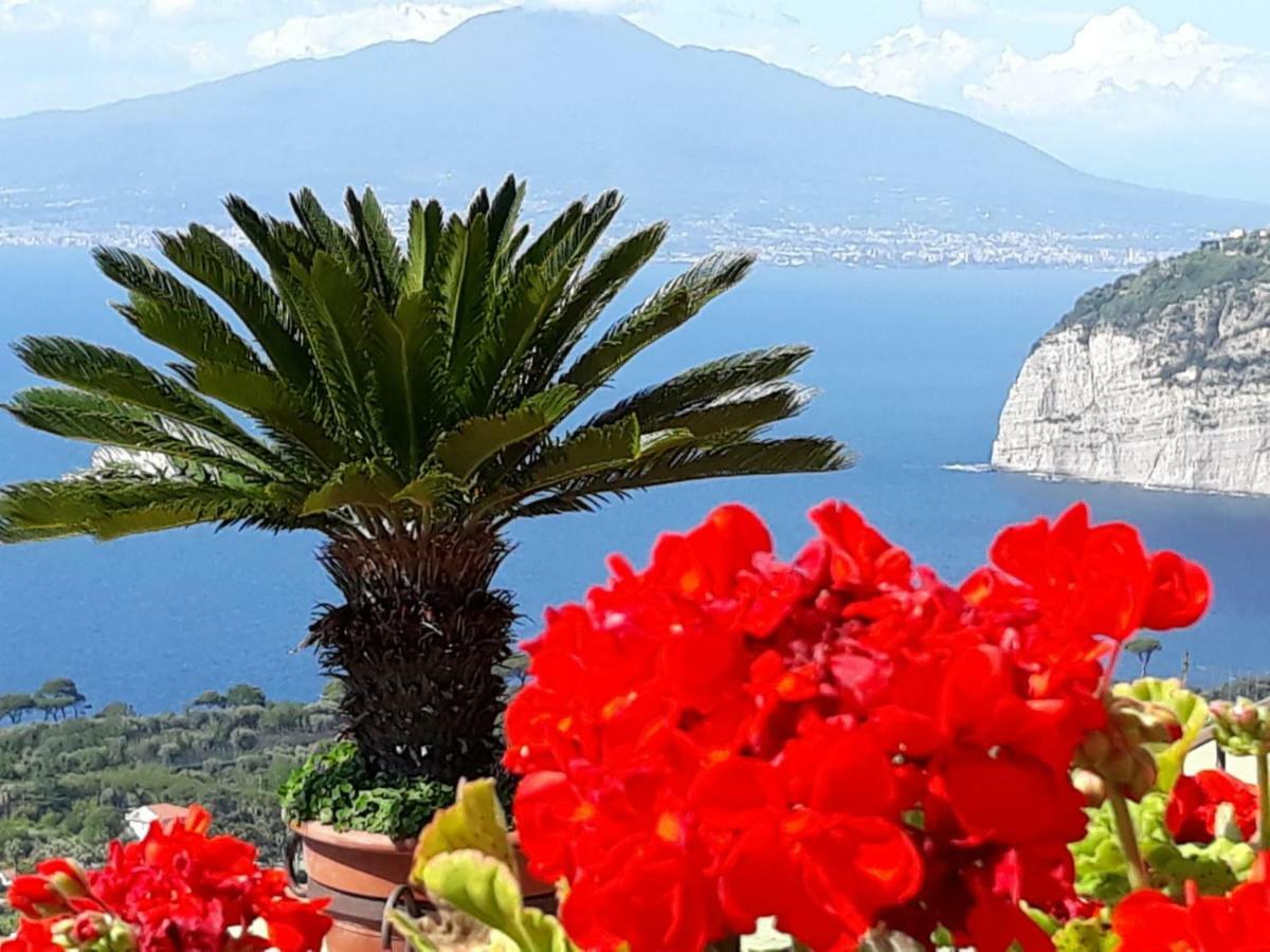 Le Muse Suite Sorrento Kültér fotó